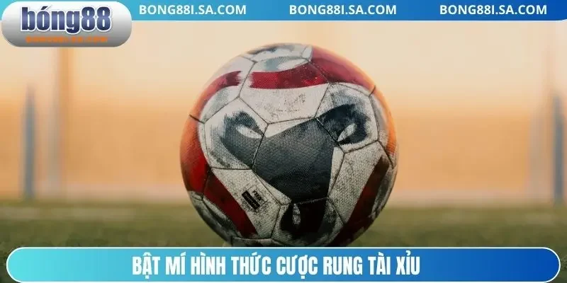 Bật mí hình thức cược rung tài xỉu 
