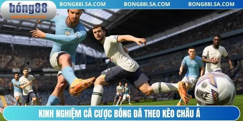 Kinh nghiệm cá cược bóng đá theo kèo châu Á