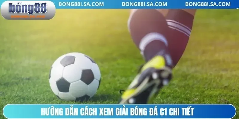 Hướng dẫn cách xem giải bóng đá C1 chi tiết